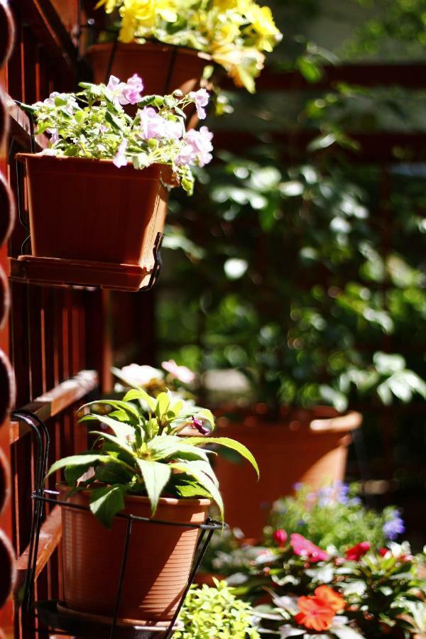 דירות בודפשט Downtown Garden Isle In Urban Style-Free Parking מראה חיצוני תמונה